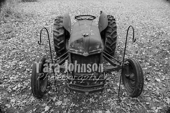 Laskowski Family - BW - TJP (12 of 107)