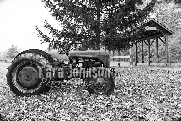Laskowski Family - BW - TJP (13 of 107)