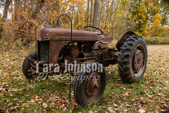 Laskowski Family - Venue - TJP (10 of 15)