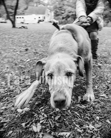 Laskowski Family - BW - TJP (26 of 107)