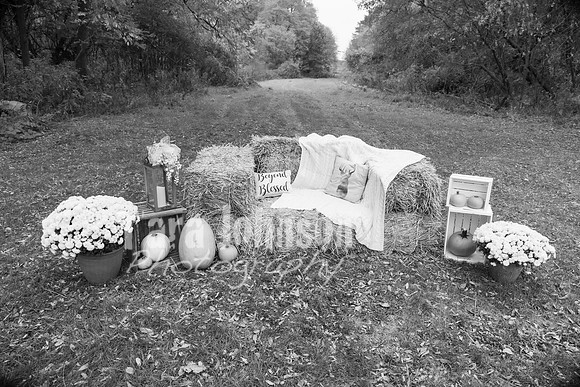 Laskowski Family - BW - TJP (102 of 107)