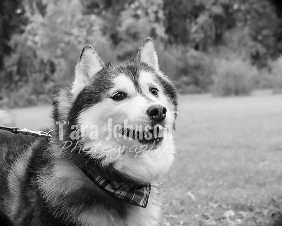 Laskowski Family - BW - TJP (103 of 107)