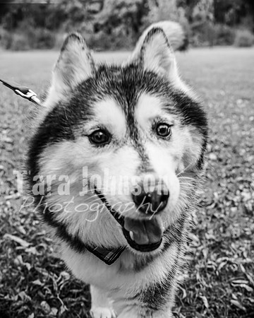 Laskowski Family - BW - TJP (104 of 107)