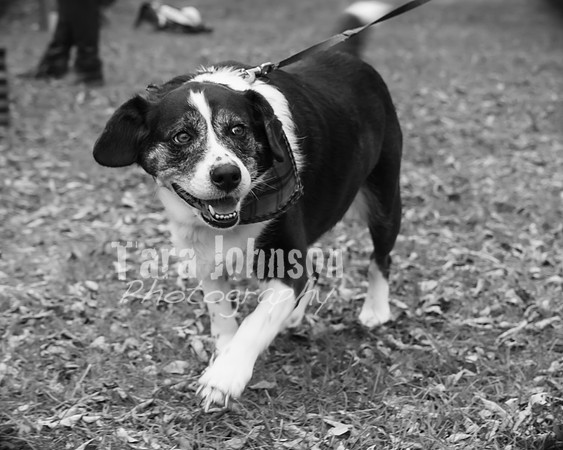 Laskowski Family - BW - TJP (106 of 107)