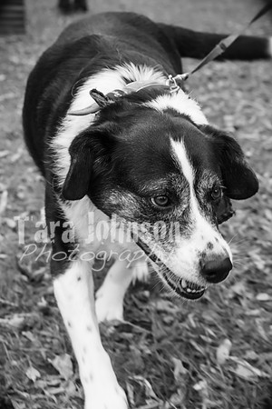 Laskowski Family - BW - TJP (107 of 107)