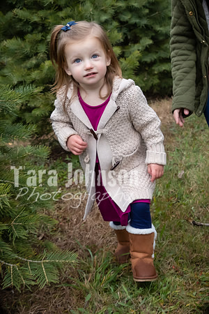 Eric  Rachelle Miras Family - TJP (25 of 67)