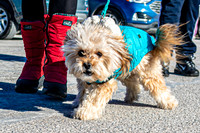 MLK Dog - TJP (2 of 11)
