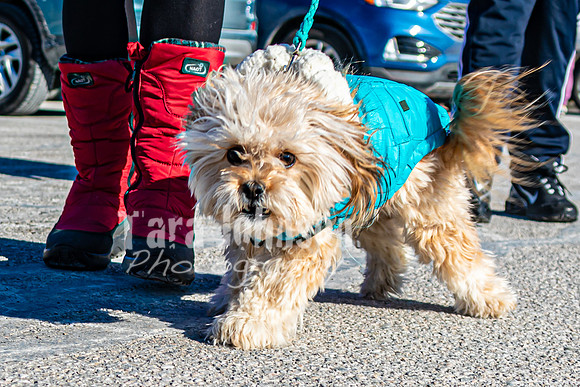 MLK Dog - TJP (2 of 11)