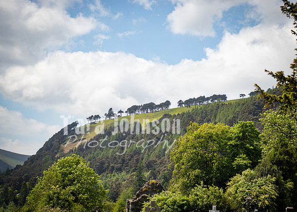 Glendalough Field Trip (49 of 117)