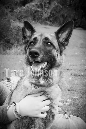 Hanna Fitzroy - BW - TJP (24 of 82)