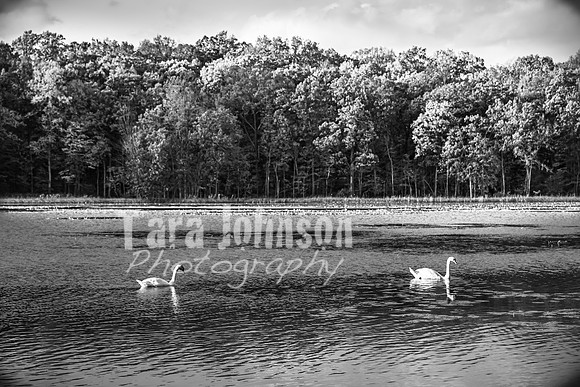 Amy Atkinson - BW - TJP (46 of 69)