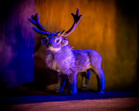 24 MTC Puffs - Set, Tech & Crew (17 of 116)