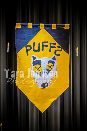 24 MTC Puffs - Friday 3-1 at 11 - DH (5 of 570)