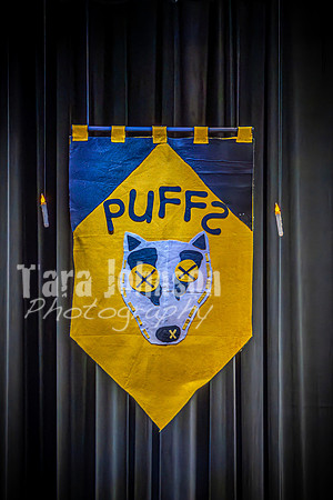24 MTC Puffs - 2-26 Monday - DH (101 of 1725)
