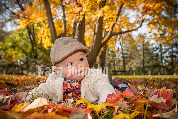 Dokman Family - TJP (37 of 38)