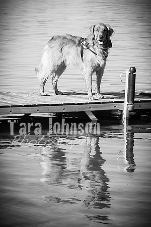 Dokman Family - BW - TJP (25 of 38)