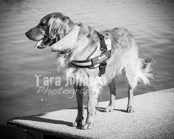 Dokman Family - BW - TJP (26 of 38)