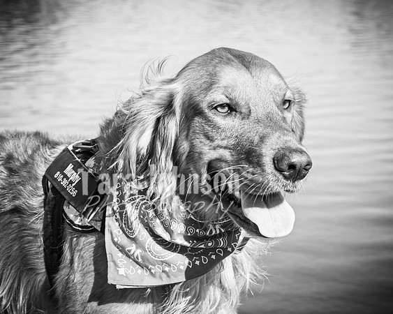 Dokman Family - BW - TJP (29 of 38)