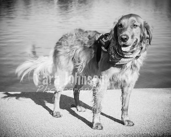 Dokman Family - BW - TJP (28 of 38)