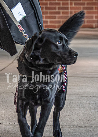 25 U of D - Celebration - TJP (14 of 259)