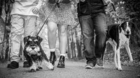 Green Family - BW - TJP (10 of 50)