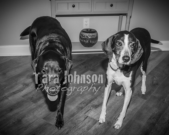 Green Family - BW - TJP (2 of 2)