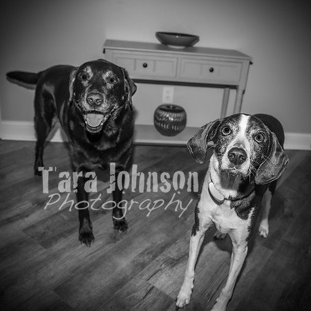 Green Family - BW - TJP (1 of 2)