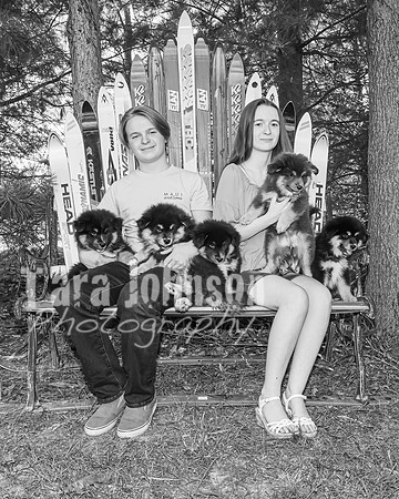 Bryde Family & Finish Lapphund Pups - BW - TJP (29 of 60)