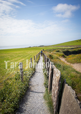 Cliffs of Moher Trip (58 of 96)