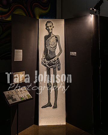 2024 IA DP Art Exhibition - R3 Mirrorless - TJP (1 of 9)