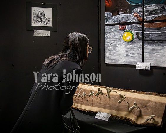 2024 IA DP Art Exhibition  - Show Candids - TJP (61 of 63)