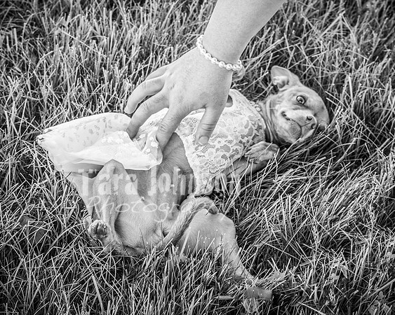 Mitch & Kelly - Highlights - BW - TJP (25 of 95)