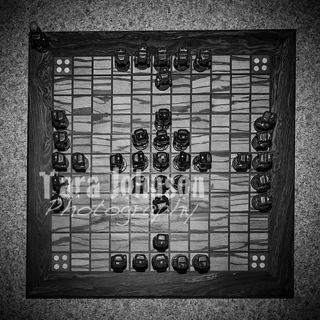 Ben Carr - Viking Chess - BW - TJP (2 of 2)