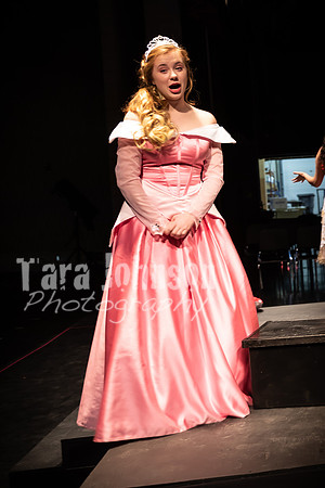 2020 MHS 3 Fairy Godmothers- Candids - TJP (24 of 51)