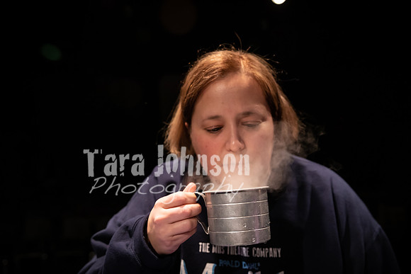 2020 MHS 3 Fairy Godmothers- Candids - TJP (41 of 51)