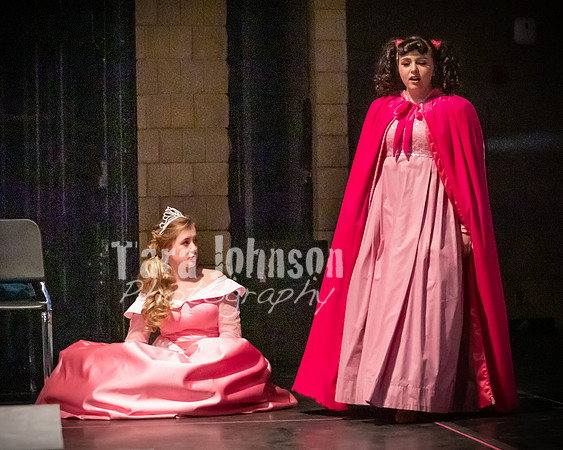 2020 MHS 3 Fairy Godmothers- R1 - TJP (4 of 324)