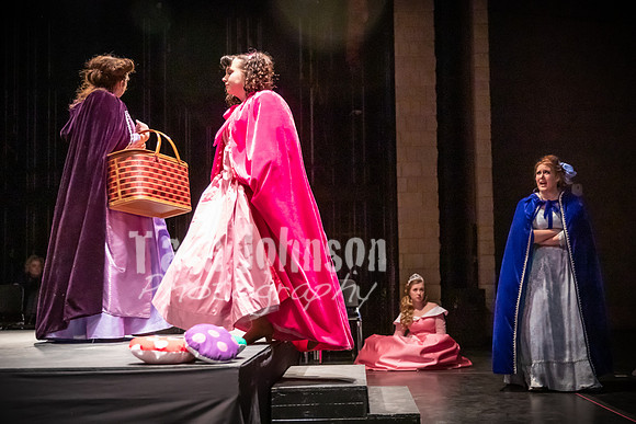 2020 MHS 3 Fairy Godmothers- R1 - TJP (5 of 324)