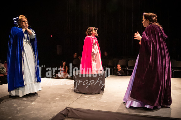 2020 MHS 3 Fairy Godmothers- R1 - TJP (11 of 324)