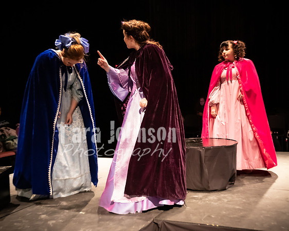 2020 MHS 3 Fairy Godmothers- R1 - TJP (12 of 324)
