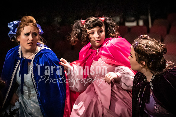 2020 MHS 3 Fairy Godmothers- R1 - TJP (18 of 324)
