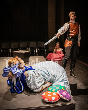 2020 MHS 3 Fairy Godmothers- R1 - TJP (25 of 324)