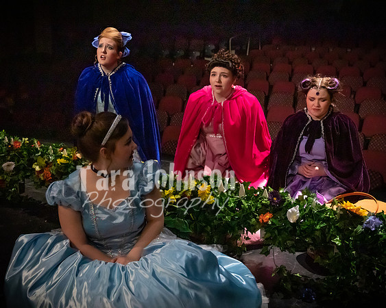 2020 MHS 3 Fairy Godmothers- R2 - TJP (21 of 263)