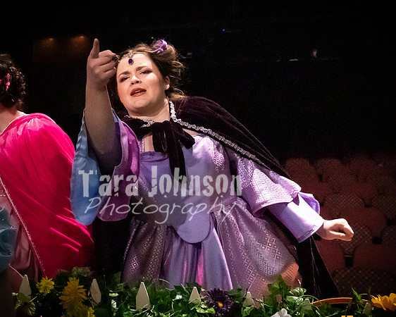 2020 MHS 3 Fairy Godmothers- R2 - TJP (25 of 263)