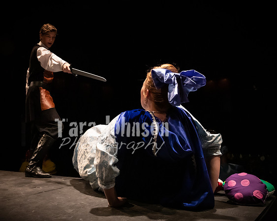 2020 MHS 3 Fairy Godmothers- R2 - TJP (29 of 263)