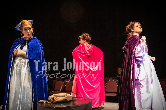 2020 MHS 3 Fairy Godmothers- R2 - TJP (38 of 263)