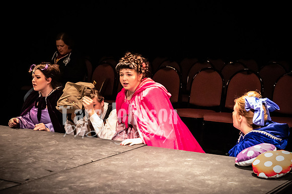 2020 MHS 3 Fairy Godmothers- R2 - TJP (45 of 263)