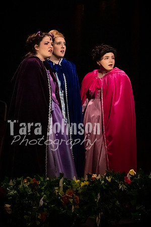 2020 MHS 3 Fairy Godmothers- R2 - TJP (99 of 263)