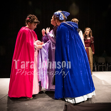 2020 MHS 3 Fairy Godmothers- R2 - TJP (82 of 263)