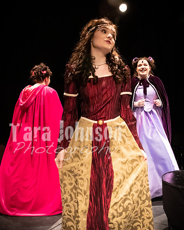 2020 MHS 3 Fairy Godmothers- R2 - TJP (86 of 263)