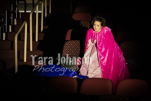 2020 MHS 3 Fairy Godmothers- Show 1 - TJP (10 of 103)
